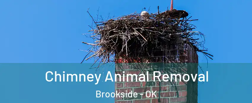 Chimney Animal Removal Brookside - OK