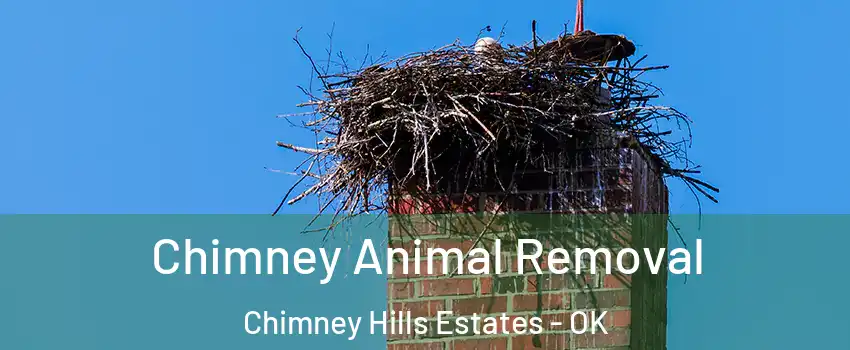 Chimney Animal Removal Chimney Hills Estates - OK