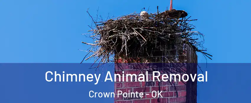 Chimney Animal Removal Crown Pointe - OK