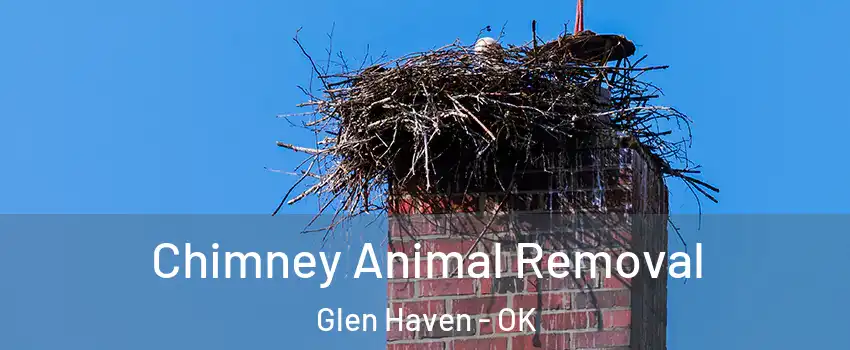 Chimney Animal Removal Glen Haven - OK