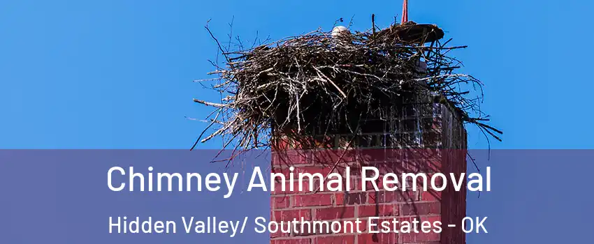 Chimney Animal Removal Hidden Valley/ Southmont Estates - OK