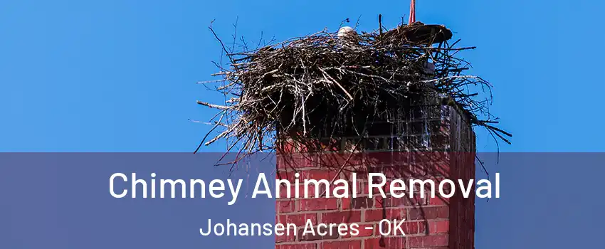 Chimney Animal Removal Johansen Acres - OK
