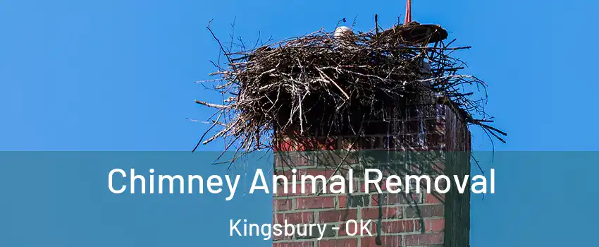 Chimney Animal Removal Kingsbury - OK