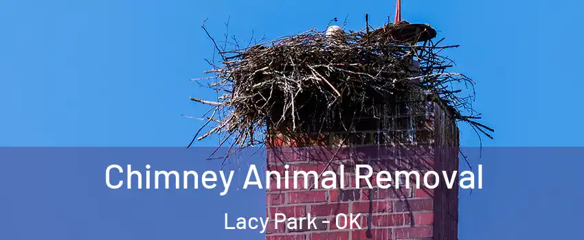 Chimney Animal Removal Lacy Park - OK