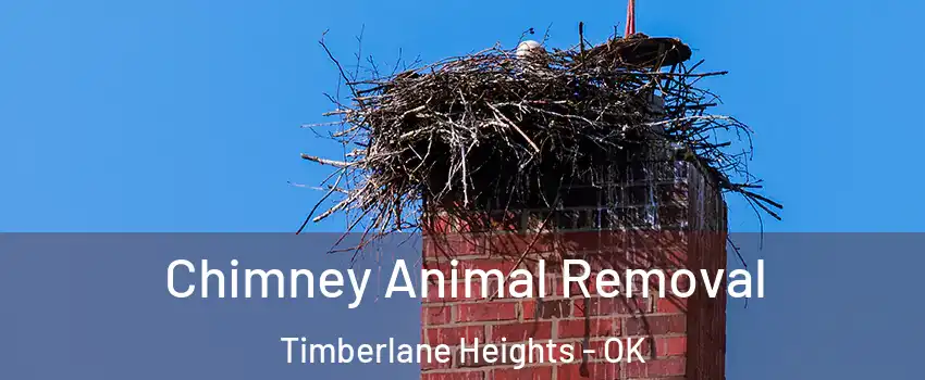 Chimney Animal Removal Timberlane Heights - OK