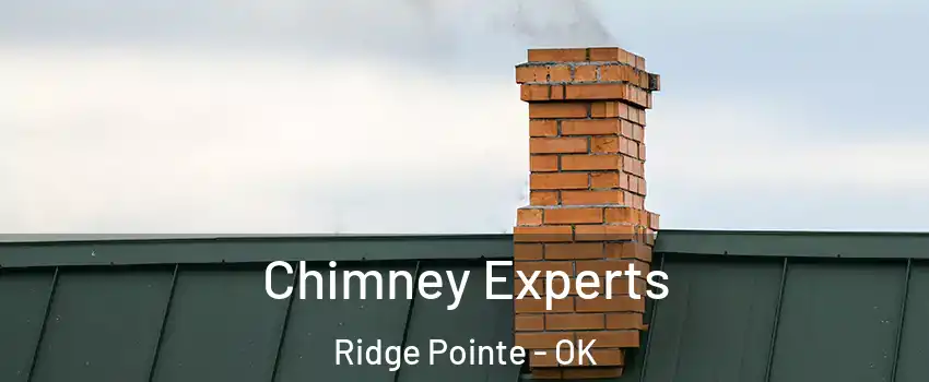 Chimney Experts Ridge Pointe - OK