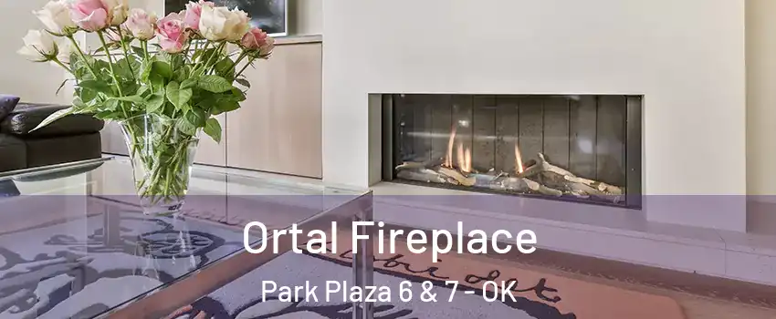 Ortal Fireplace Park Plaza 6 & 7 - OK